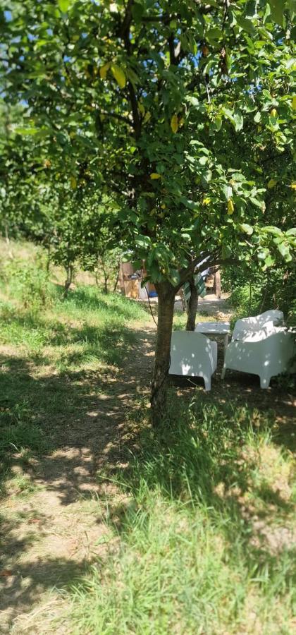 Casageo Cheile Nerei Villa Socolari Ngoại thất bức ảnh