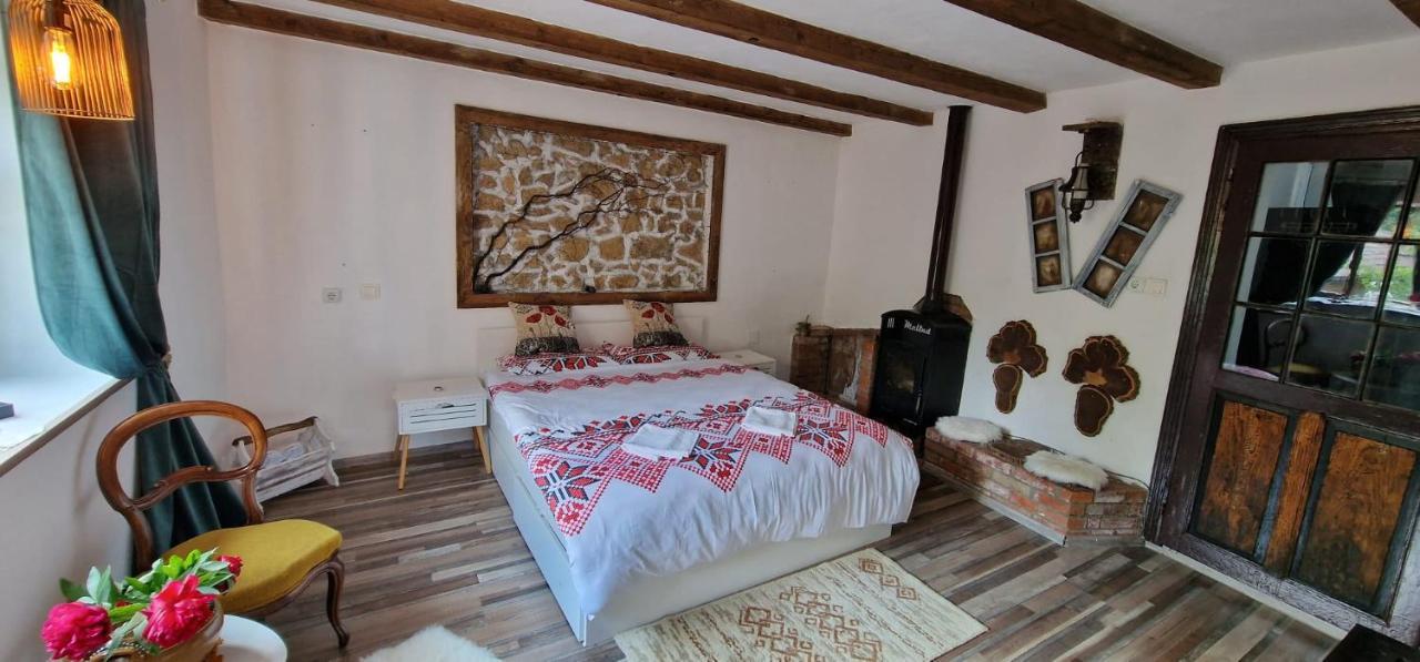 Casageo Cheile Nerei Villa Socolari Ngoại thất bức ảnh